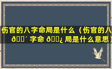 伤官的八字命局是什么（伤官的八 🐴 字命 🌿 局是什么意思）